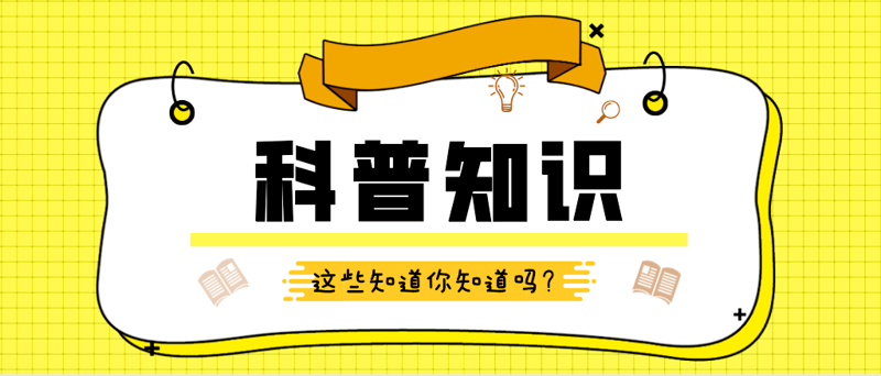 知识海洋中的灯塔：探索成长之路的知识分享平台